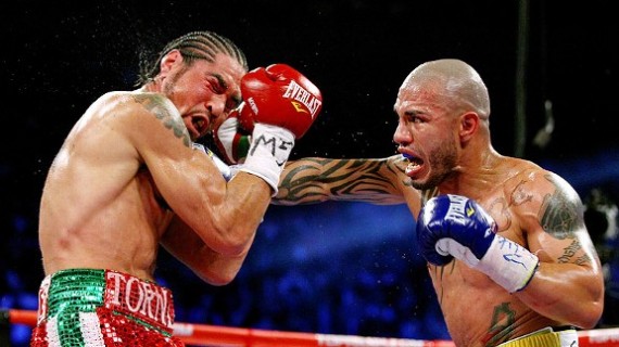 cotto wins cotto wins